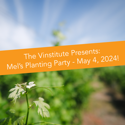 Vinstitute Planting Party - May 4, 2024
