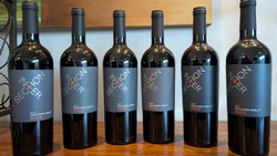 Silica Merlot 6 Bottle Vertical